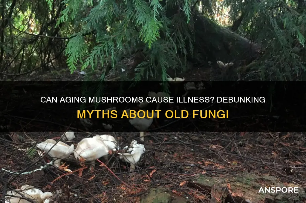 do old mushrooms make you sick