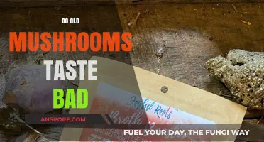 Do Old Mushrooms Taste Bad? Exploring Flavor Changes Over Time