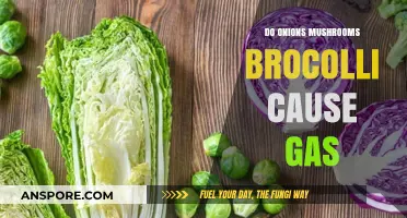 Do Onions, Mushrooms, and Broccoli Cause Gas? Unraveling the Truth