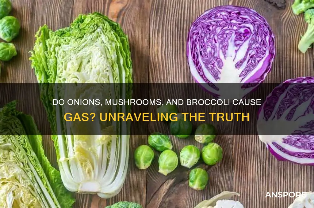 do onions mushrooms brocolli cause gas
