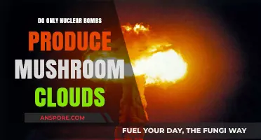 Mushroom Clouds: Are Nuclear Bombs the Sole Producers?