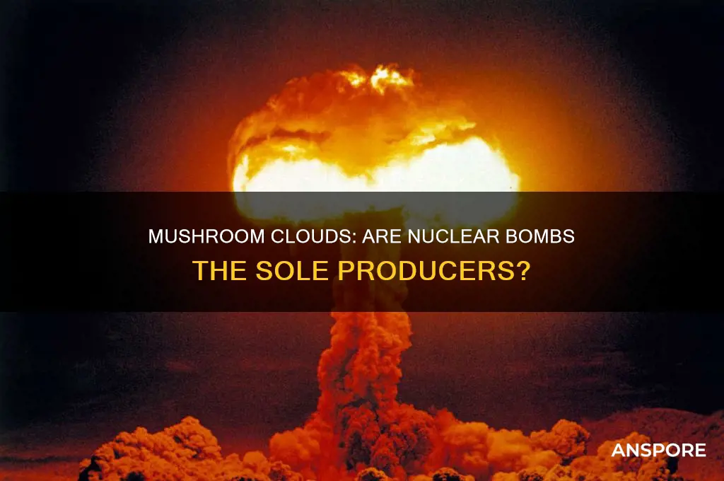 do only nuclear bombs produce mushroom clouds