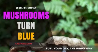 Do Only Psychedelic Mushrooms Turn Blue? Unveiling the Truth