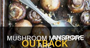 do outback mushrooms count on the keto diet