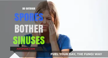 Outdoor Spores and Sinus Issues: Understanding the Connection and Relief