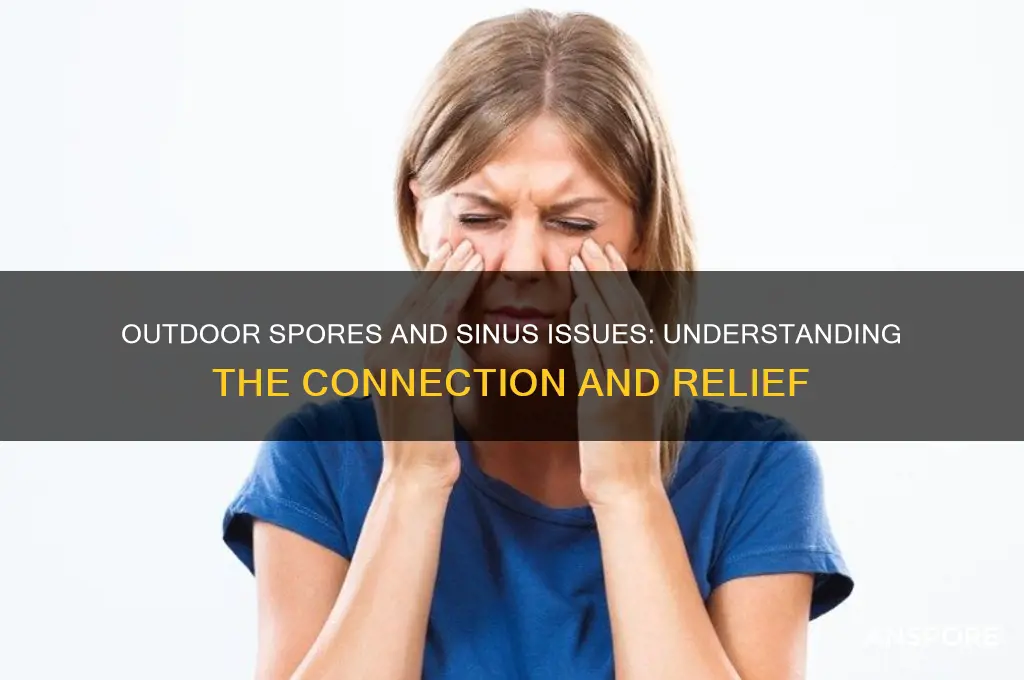 do outdoor spores bother sinuses