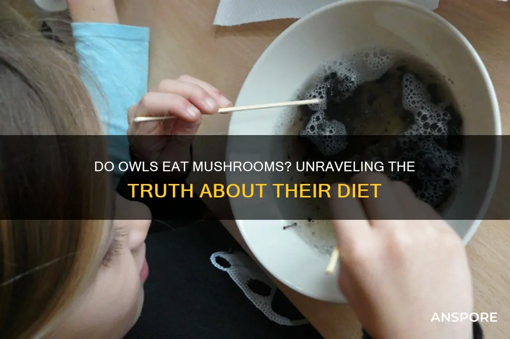 do owls eat mushrooms