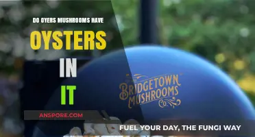 Oyster Mushrooms: Any Oyster Connection?