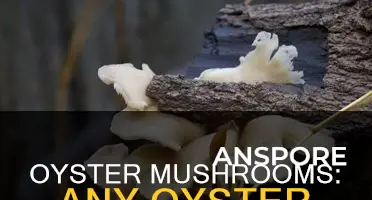 do oyers mushrooms have oysters in it