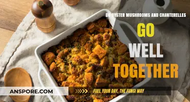 Combining Chanterelles and Oyster Mushrooms: A Tasty Pairing?