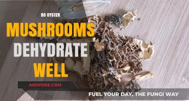 Dehydrating Oyster Mushrooms: A Smart Preservation Method