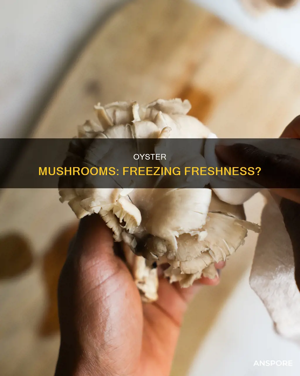 do oyster mushrooms freeze well
