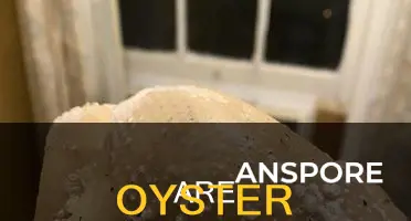 do oyster mushrooms have fuzz on them