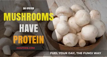 Oyster Mushrooms: A Rich Source of Protein?
