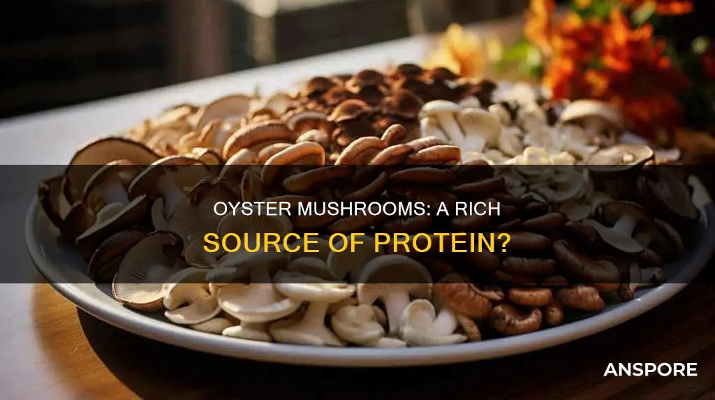 do oyster mushrooms have protein