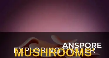 do oyster mushrooms have pshycedelic properties