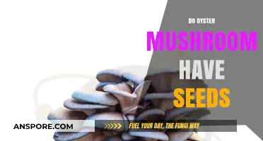 How Do Oyster Mushrooms Reproduce?