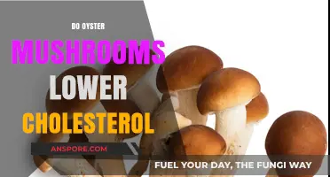 Oyster Mushrooms: Cholesterol-Lowering Superfood?