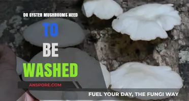 Washing Oyster Mushrooms: To Wash or Not to Wash?