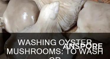 do oyster mushrooms need to be washed