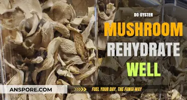 Rehydrating Oyster Mushrooms: Do They Plump Up Perfectly?