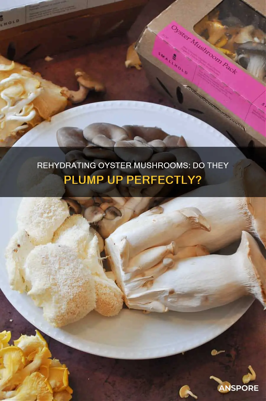 do oyster mushrooms rehydrate well