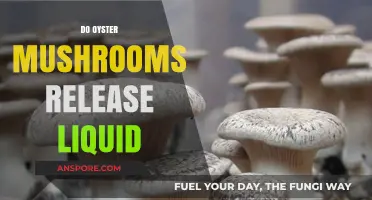 Why Do Oyster Mushrooms Release Liquid?