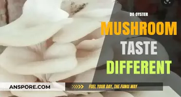 How Oyster Mushrooms Taste Different