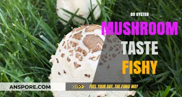 Do Oyster Mushrooms Taste Fishy?