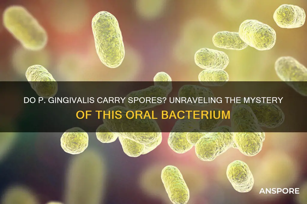 do p gingivalis carry spores