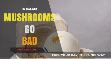Do Packaged Mushrooms Go Bad? Shelf Life and Storage Tips