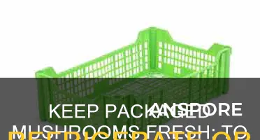 do packaged mushrooms need to be refrigerated