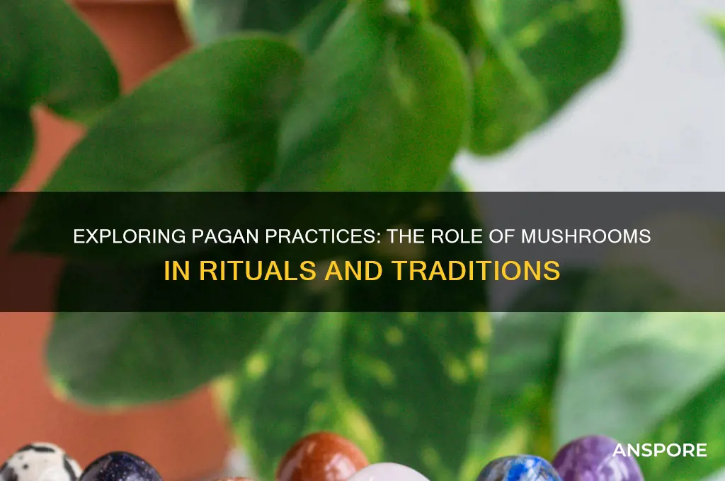 do pagans use mushrooms