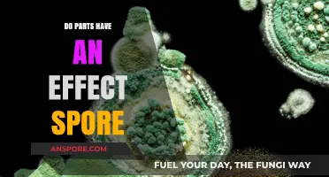 Do Parts Influence Spore Growth? Exploring the Impact of Components