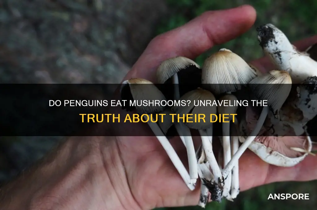 do penguins eat mushrooms