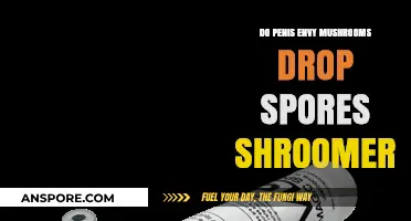 Penis Envy Mushrooms: Understanding Their Spore Release on Shroomery