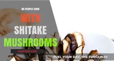 Exploring Shiitake Mushrooms: Popular Culinary Uses and Delicious Recipes