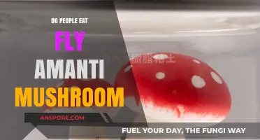 Exploring the Edibility of Fly Amanita Mushrooms: Facts and Risks