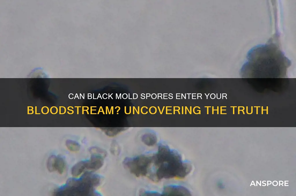 do people get black mold spores in their blood
