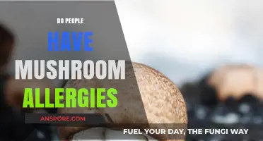 Mushroom Allergies: Are They Real?