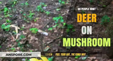 Magic Mushrooms: Deer Hunting and Hallucinations