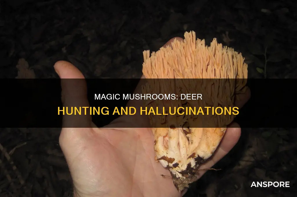 do people hunt deer on mushrooms
