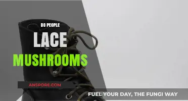 The Strange Practice of Lacing Mushrooms