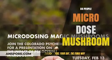 Microdosing Mushrooms: Why Do People Do It?