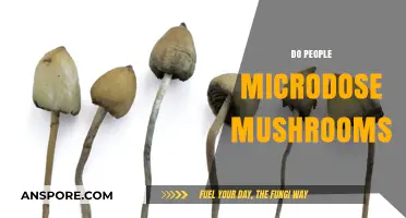Microdosing Mushrooms: Why Do People Do It?