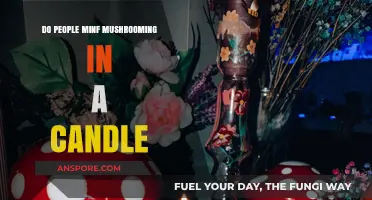 Mushrooming Candles: A Strange Odor Experience