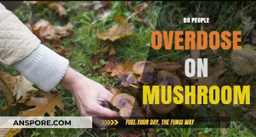 Mushroom Overdoses: What You Need to Know