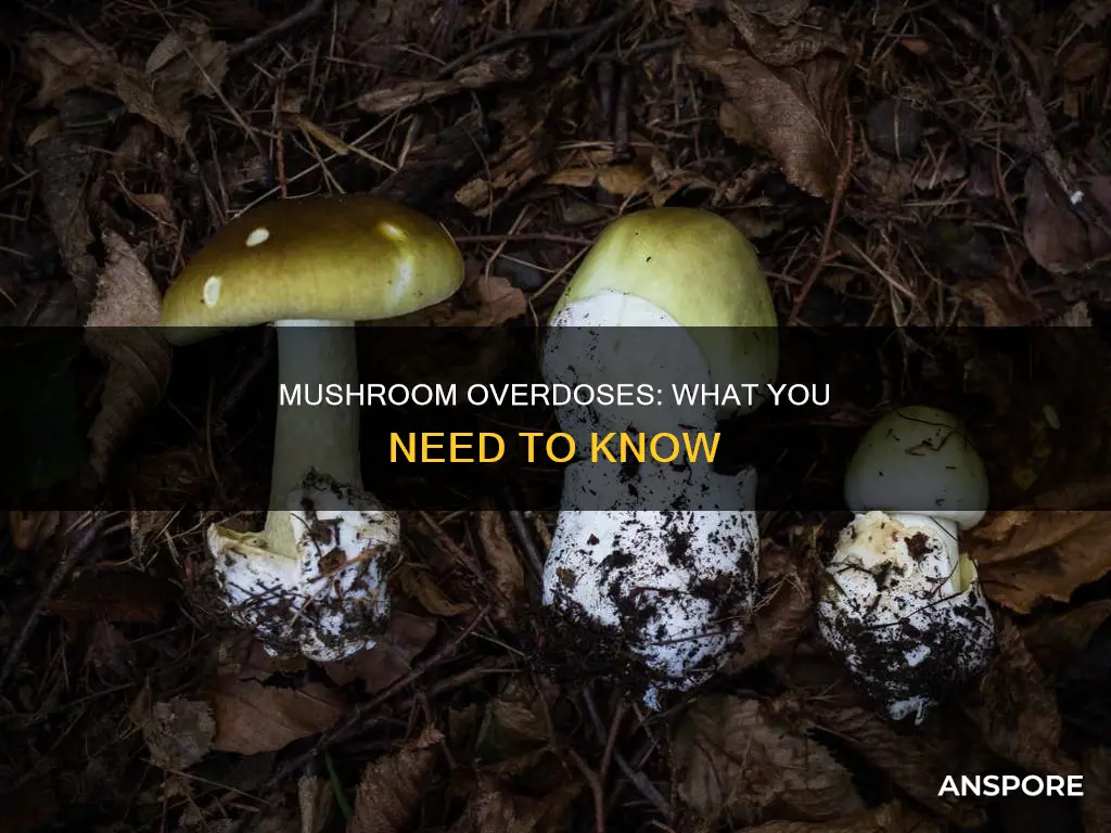 do people overdose on mushrooms