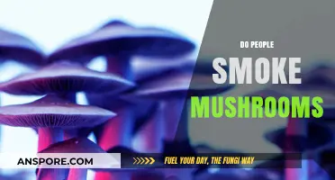 Mushroom Smoking: Is It a Thing?
