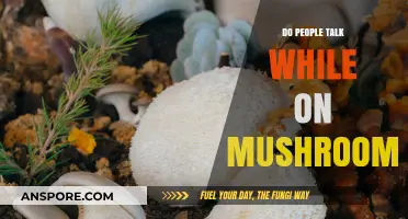 Mushroom Trips: Do They Make You Talkative?